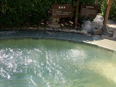 -仁爱团泊湖温泉中心