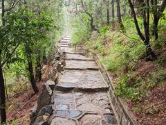 -龙口南山旅游景区