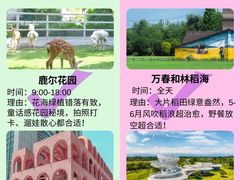 -老鼎万春卤菜(五代传承创始老店)