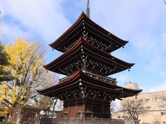 -医王山·飞騨国分寺