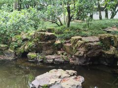 -上海醉白池公园