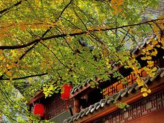 -牛王庙特色面(杏苑公寓店)