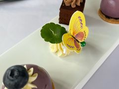 -蝶舍·MAISON PAPILLON