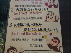 -岚山猴子公园