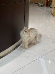 -Alger.O美感沙龙