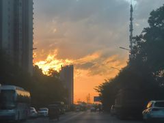 -石牌岭小亮蒸虾•湖北老字号(左岭店)