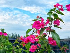 -小河盐帮·私家菜·烤鸭(三元桥·霄云路店)