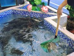 -常株潭·湖南家宴·团建宴会厅(西乡店)