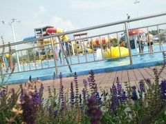 -海盗传奇水世界