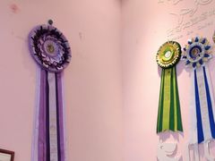 -爪爪喵星球·猫舍(前海卓越店)