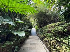 -腾冲洞山温泉村