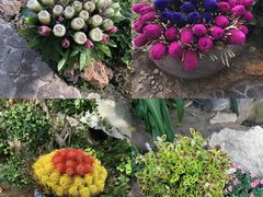 -南通洲际绿博园