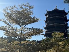 -八仙山公园