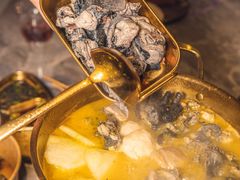 -Darling Queen·Mini·Live·House