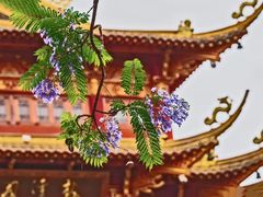 -龙潭水乡