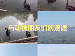 -厦门园林博览苑
