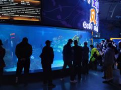 -烟台海昌鲸鲨海洋公园