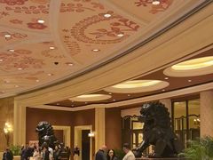 -拉斯维加斯永利酒店