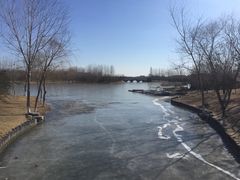 -大兴滨河森林公园