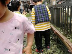-青浦采草莓天天草莓园