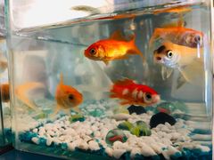 -美丽心情蛋糕(江苏路店)