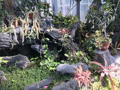 -国家植物园南园