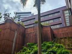 -香港大学
