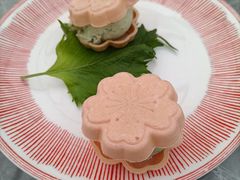 -Hi City·城市之巅