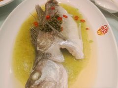 -添福来墨鱼饺子 · 海鲜东北菜(泡崖店)