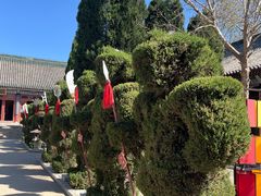 -真定郝家排骨(正定县总店)