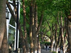 -白马涧龙池景区
