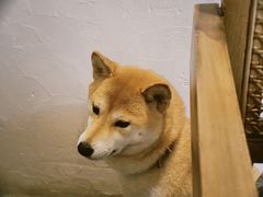 -三目仓咖啡(贤南路店)
