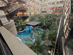 -黑龙江中医药大学附属第一医院