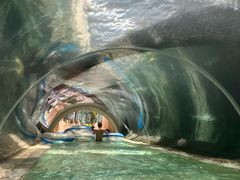 -新加坡水上探险乐园