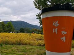 -塔川景区