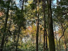 -狼山风景名胜区