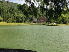 -武陵山森林公园