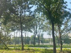 -回龙观体育文化公园
