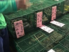 -荔城生鲜盛宴(番禺旗舰店)