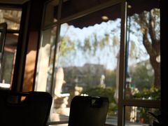 -子霖南山鲜虾面(南山总店)