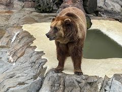 -珠海长隆海洋王国