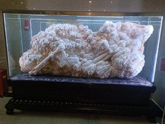 -湖南省地质博物馆