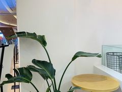 -树夏(金楠天街店)