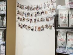 -瑞派康怡24h宠物医院·犬猫医疗中心·微创绝育(瑞景分院)