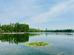 -东湖生态旅游风景区