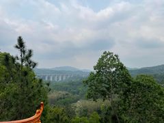 -红山村