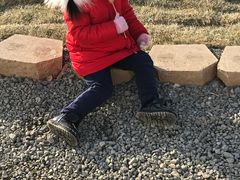-绿野森林乐园冰雪季