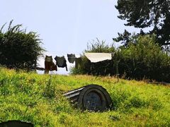 -霍比特人村