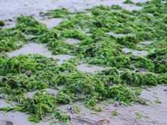 -那香海钻石沙滩浴场