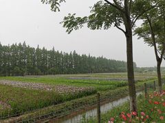 -上海长兴岛郊野公园